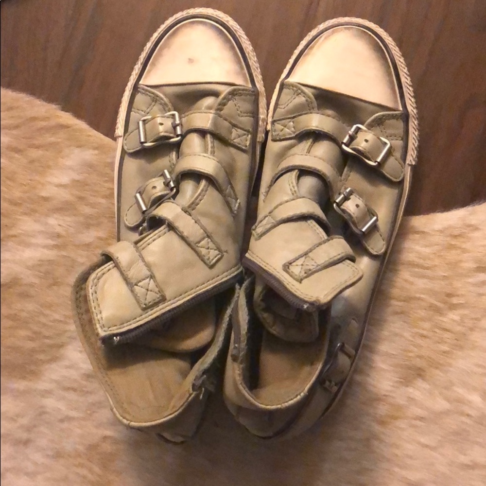 Ash brand sneakers